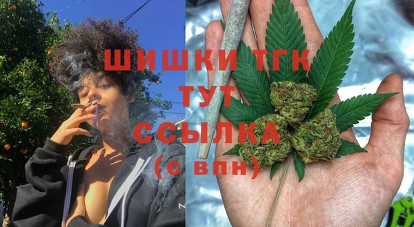 PSILOCYBIN Ладушкин