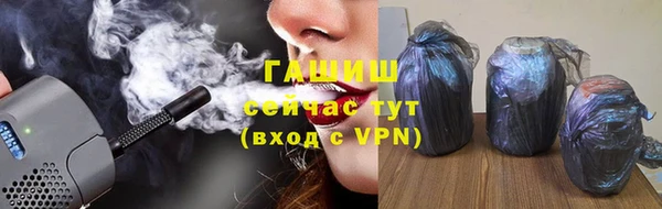 индика Сатка