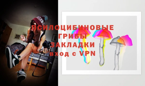 герыч Лагань