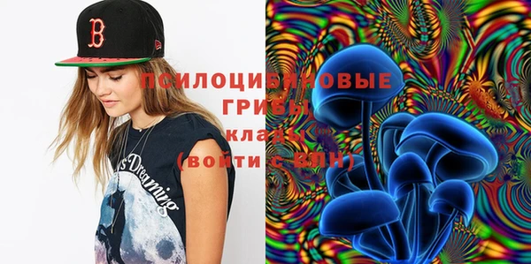 герыч Лагань