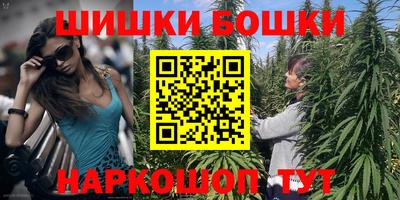 шишки Берёзовский