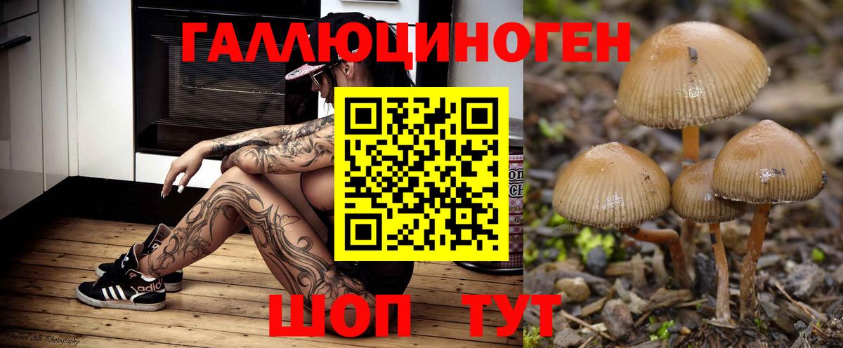 Псилоцибиновые грибы мицелий Темрюк