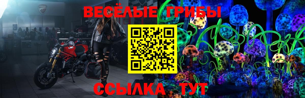 Темрюк  Псилоцибиновые грибы MAGIC MUSHROOMS  Вход с VPN  Галлюциногенные грибы прущие грибы 