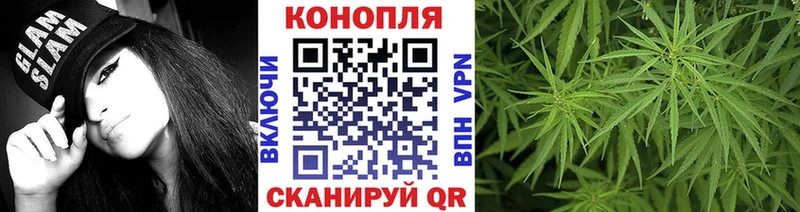 Канабис сатива  Темрюк 