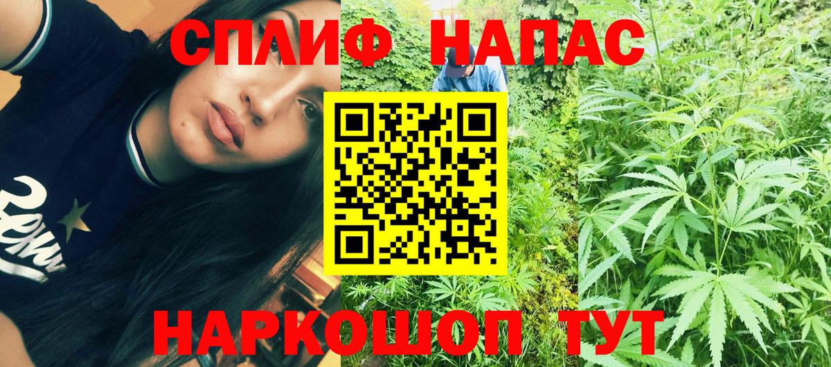 Конопля план Темрюк